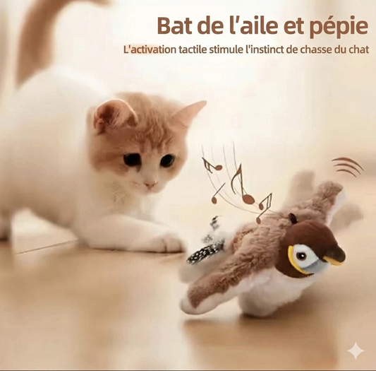 Jouet anti-ennui pour chat
